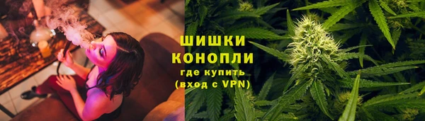 прущие крисы Елизово