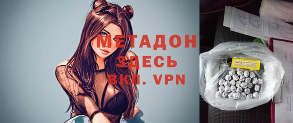 гидра Ельня