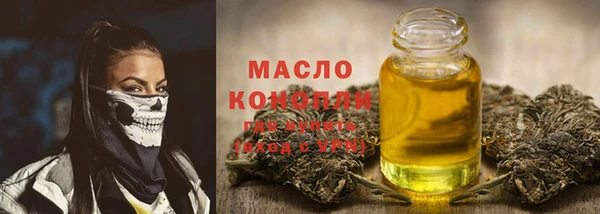 гидра Ельня