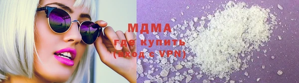 гидра Ельня