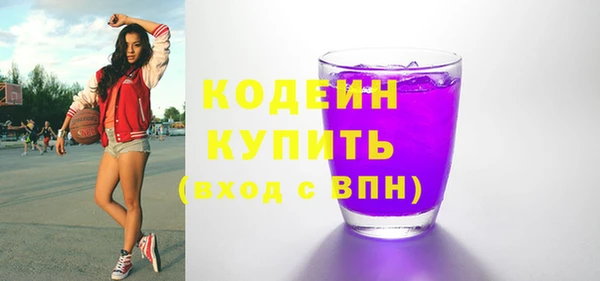гидра Ельня