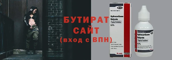 гидра Ельня