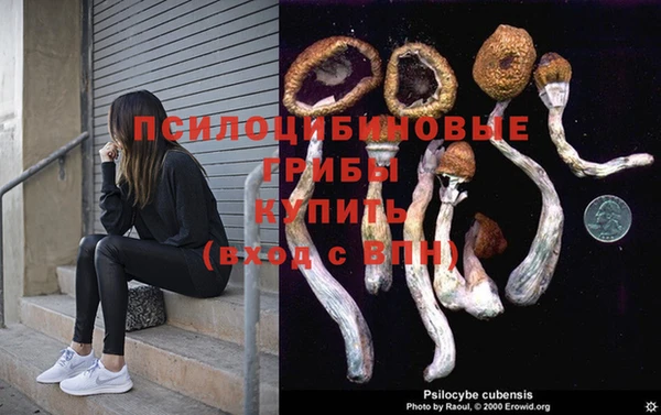 гидра Ельня