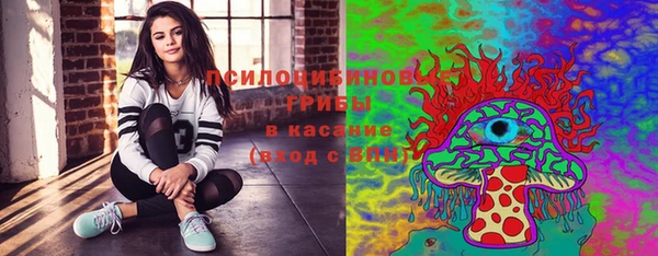 прущие крисы Елизово