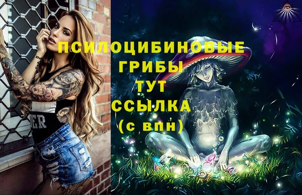 гидра Ельня