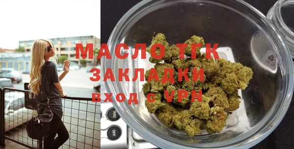 гидра Ельня
