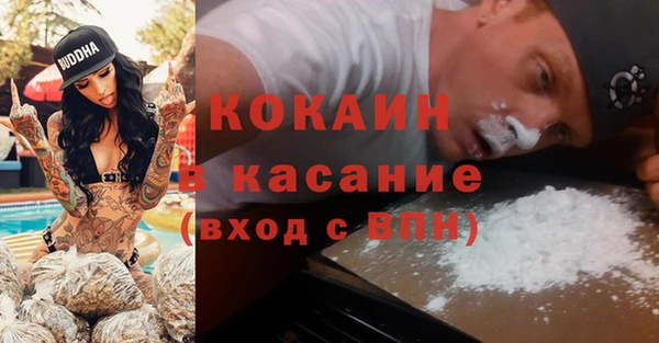 гидра Ельня
