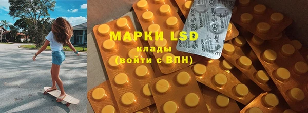 гидра Ельня