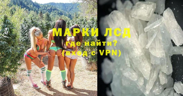 гидра Ельня