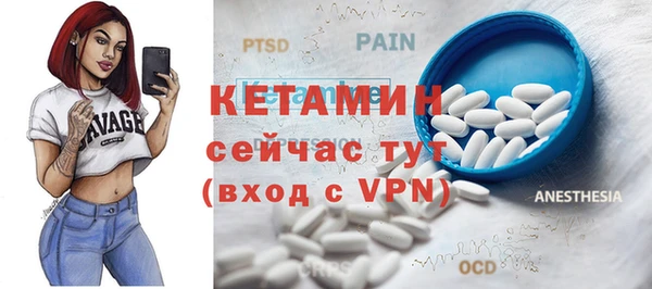 гидра Ельня