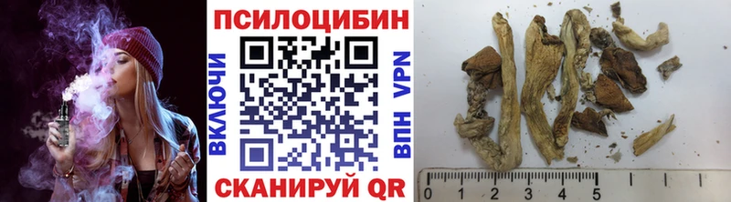 Галлюциногенные грибы MAGIC MUSHROOMS  что такое   Мамадыш 